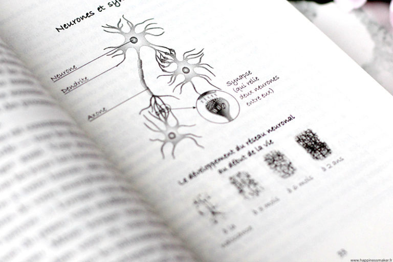 Power brain  Un livre passionnant !  Happiness Maker
