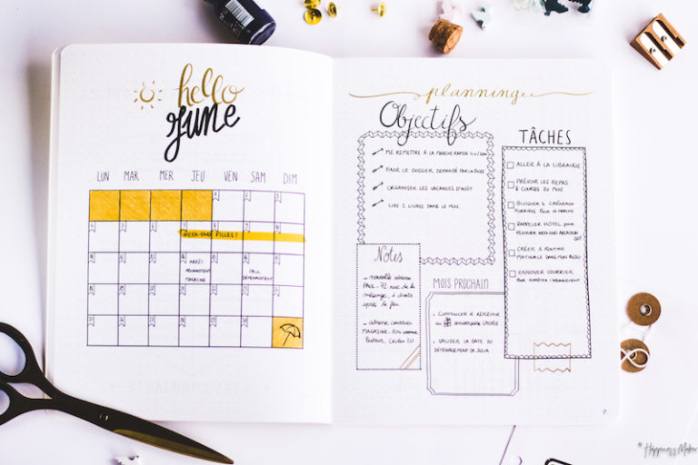 Mon cahier bullet agenda : Développement personnel et organisation