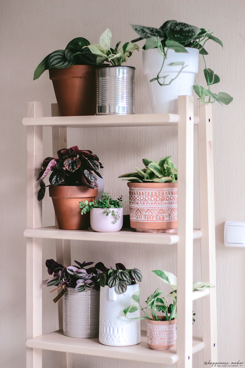4 tagres pour plantes dco et pratiques - Happiness Maker