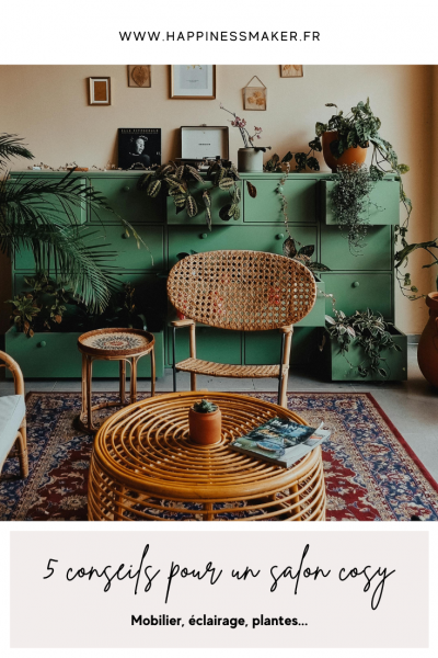 5 conseils pour un salon douillet
