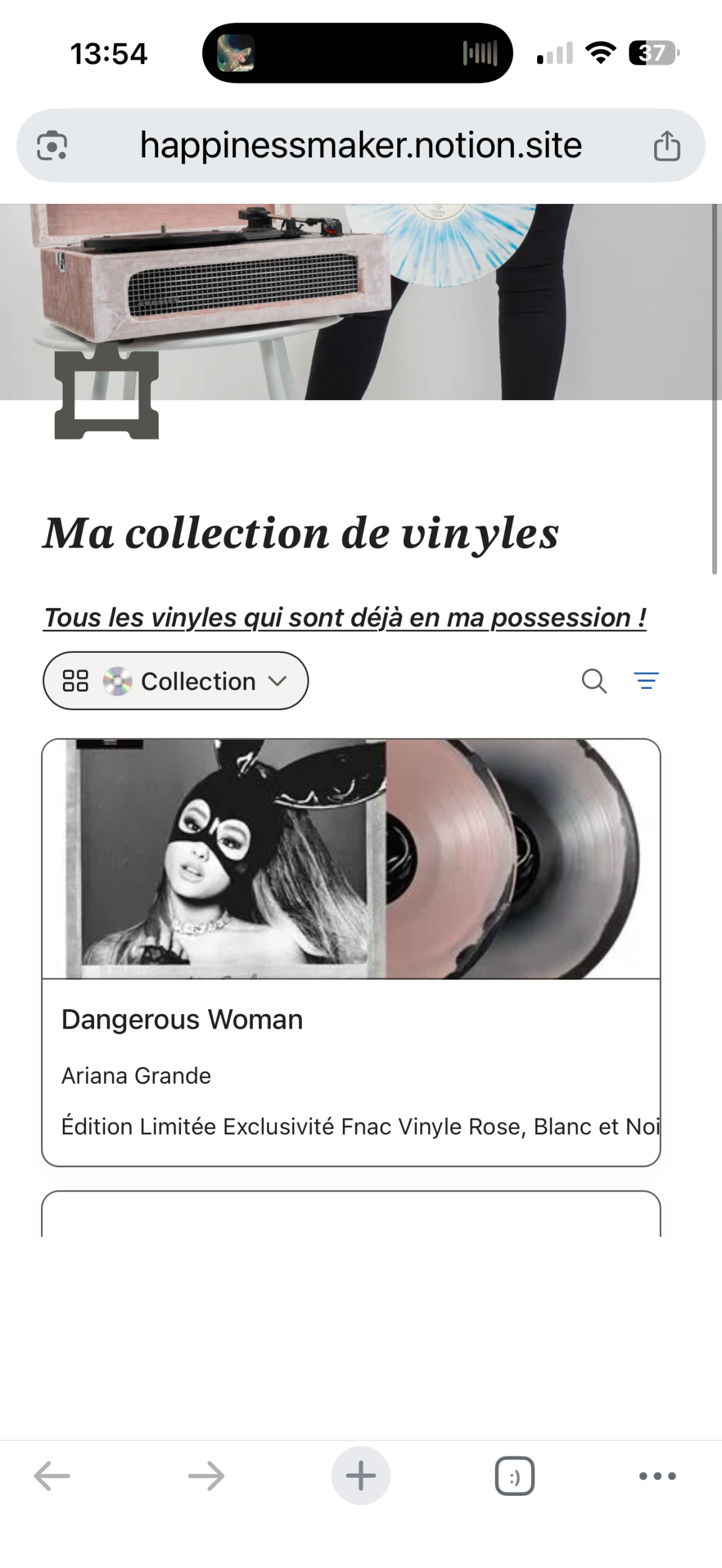 collection vinyles template
